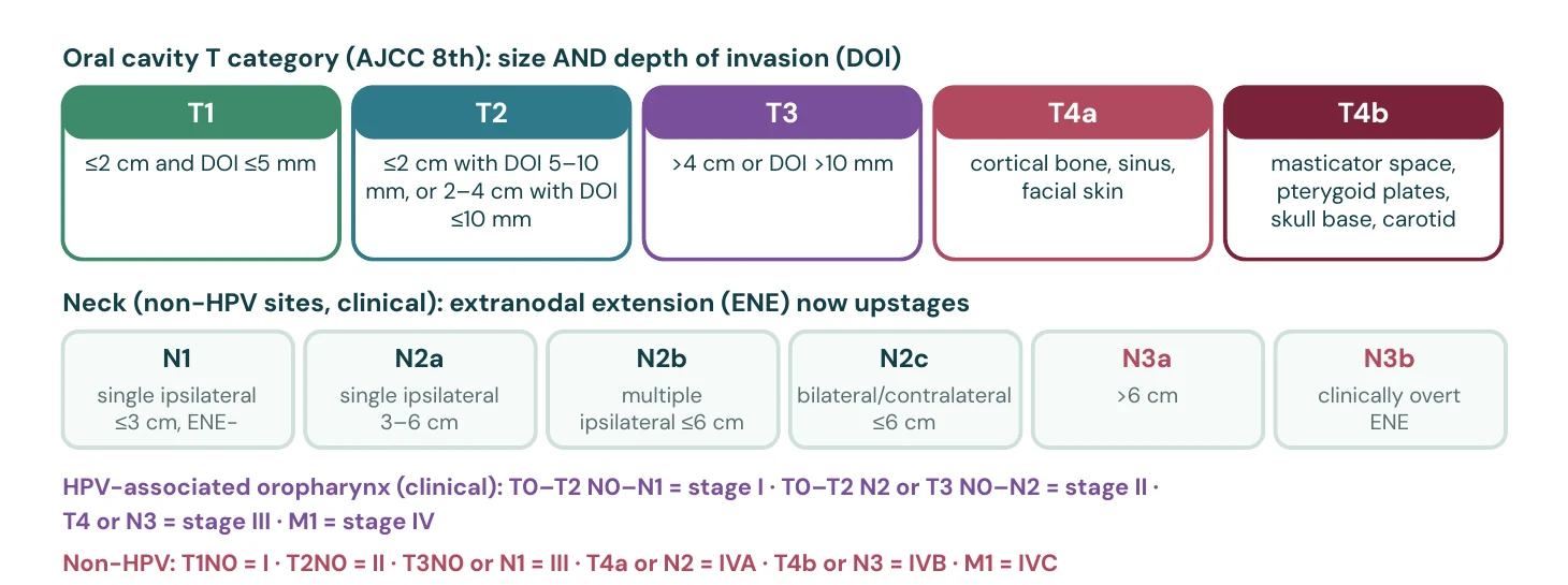 TNM at a glance (simplified from AJCC 8th edition)
