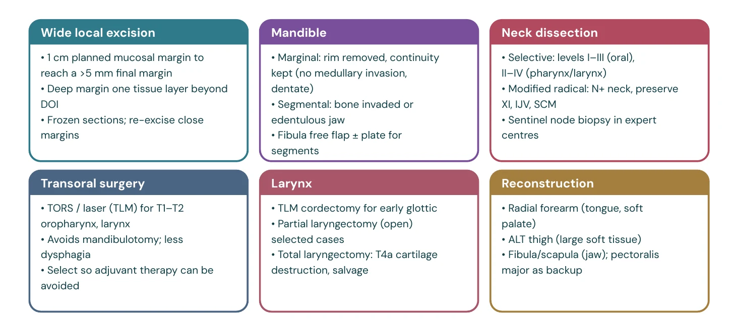 What the head and neck surgeon offers