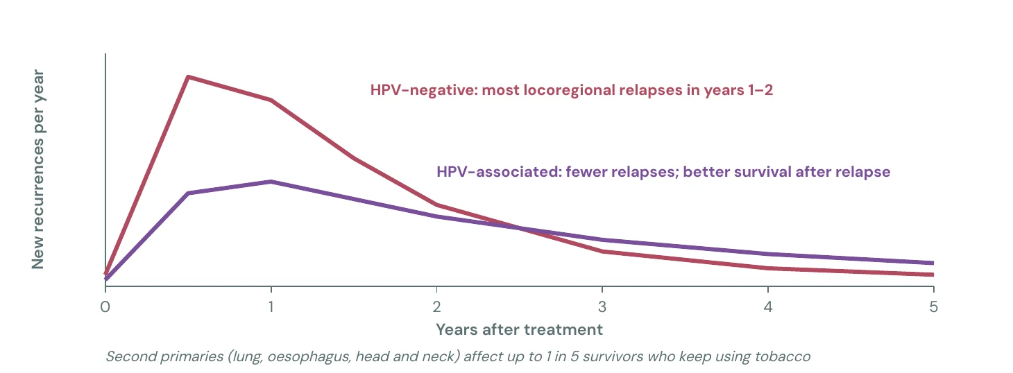 When relapses happen (illustrative shapes, not to scale)