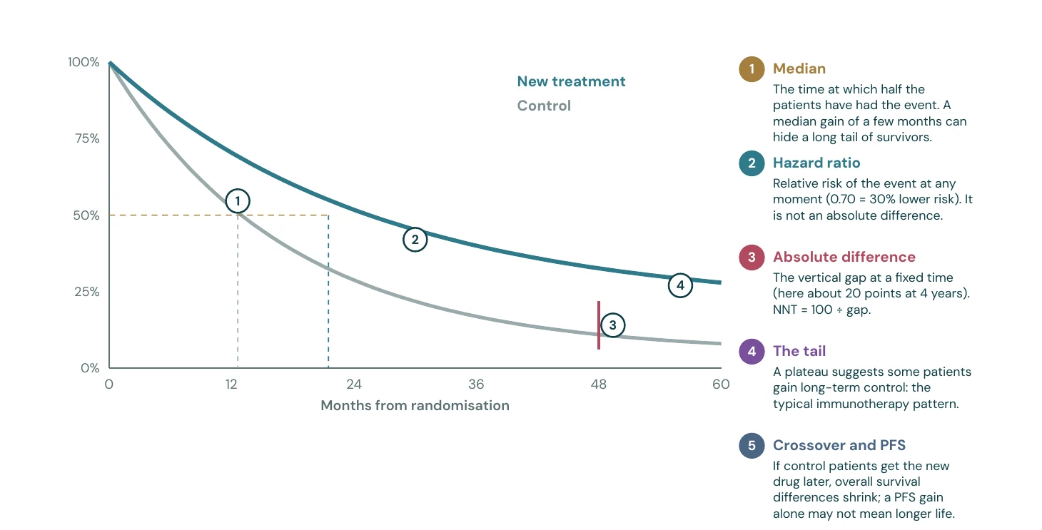 How to read a survival curve (illustrative)